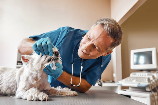 Best Emergency Dental Care for Abscessed Tooth in Wood Ridge, NJ